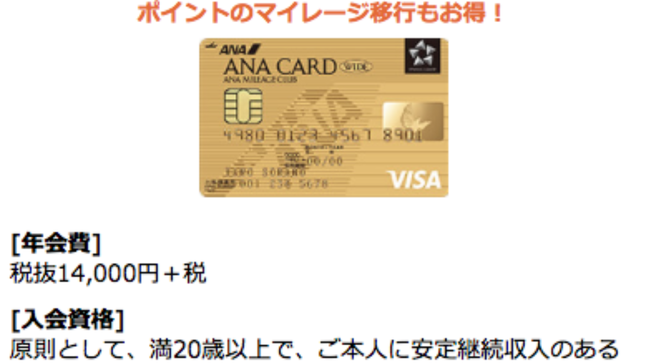 家計大公開 うちがana Visaワイドゴールドカードで毎月決済している